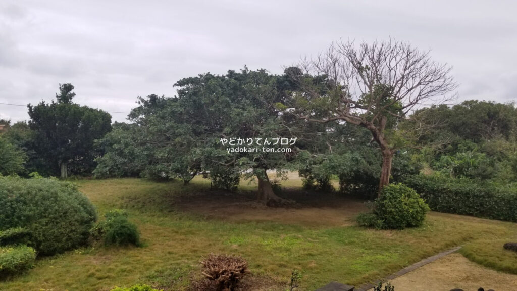 出雲大社先島本宮の庭園