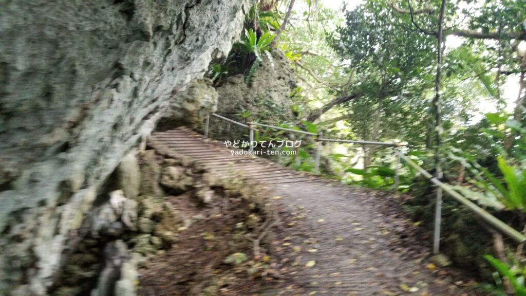 サビチ洞海岸までの道