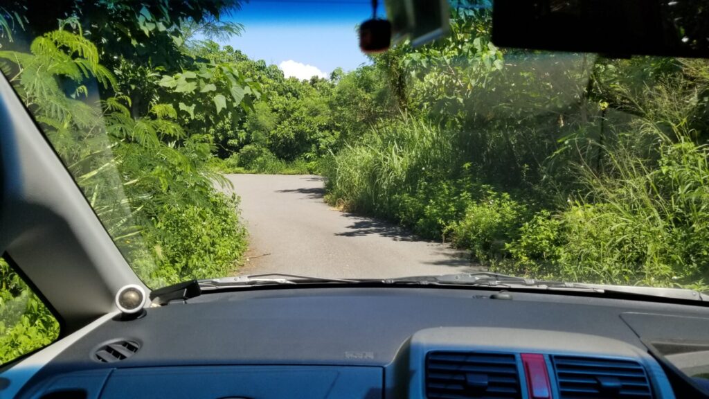 石垣島トミーのパンへの細い道