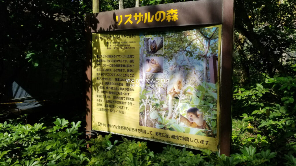 石垣やいま村リスザルの森