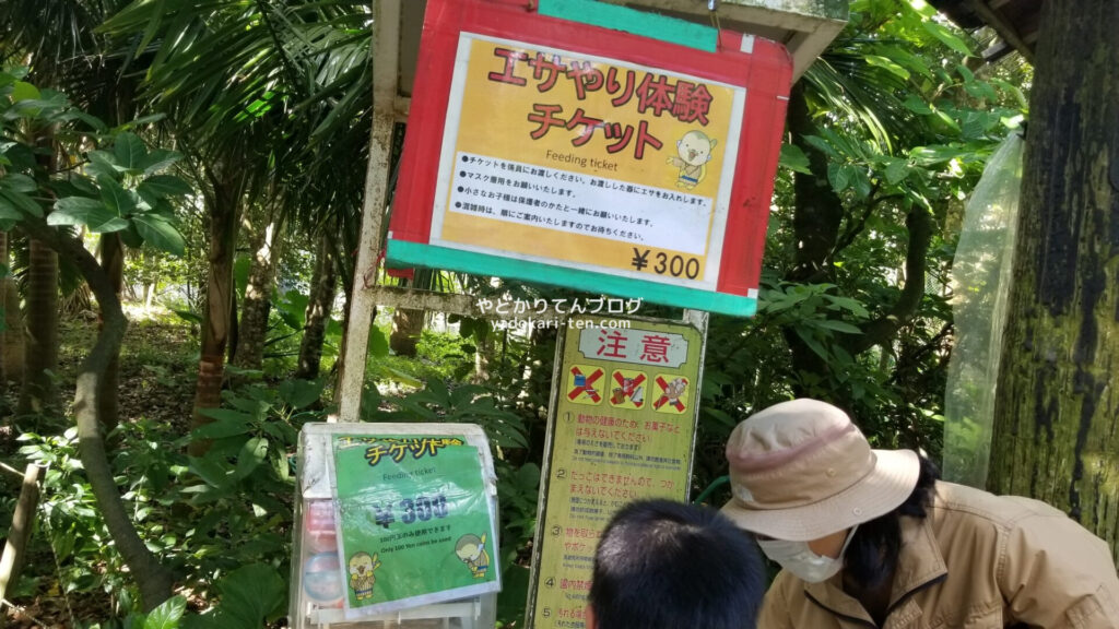 石垣やいま村リスザルの餌やり体験