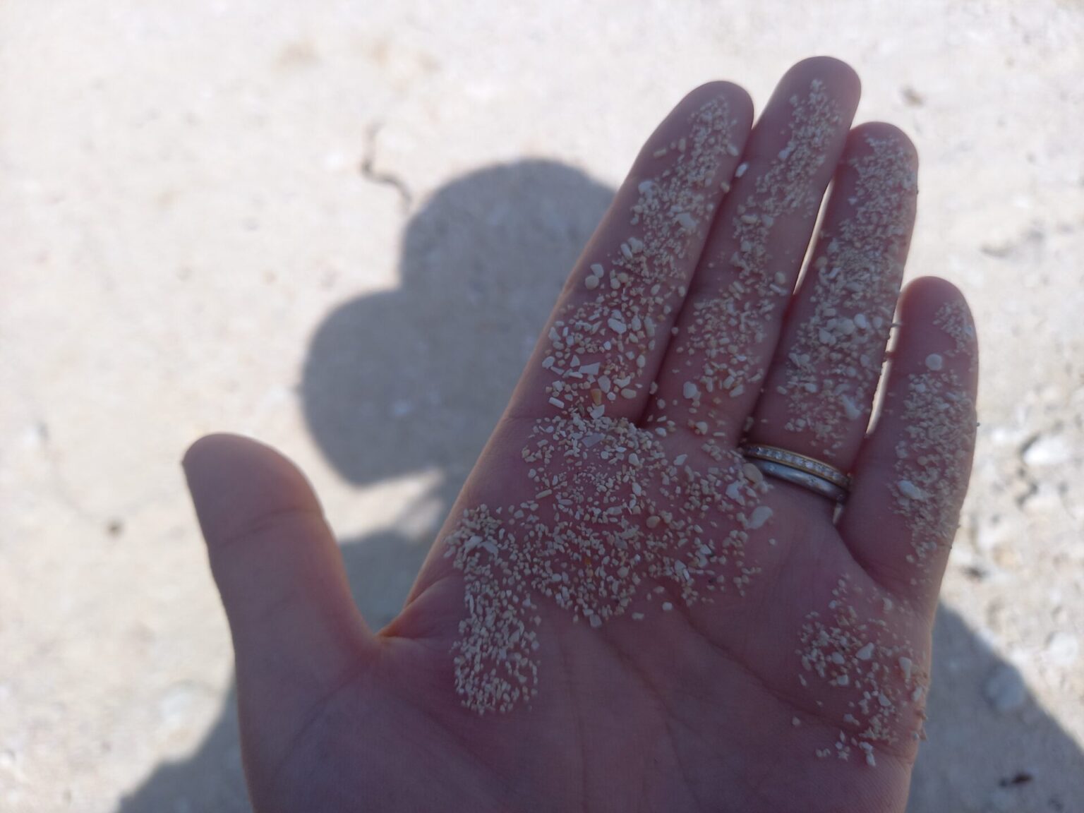 竹富島の星砂は持ち帰りできる?持ち帰れる量や見つけ方、拾える場所などご紹介! | 石垣離島旅行ブログ