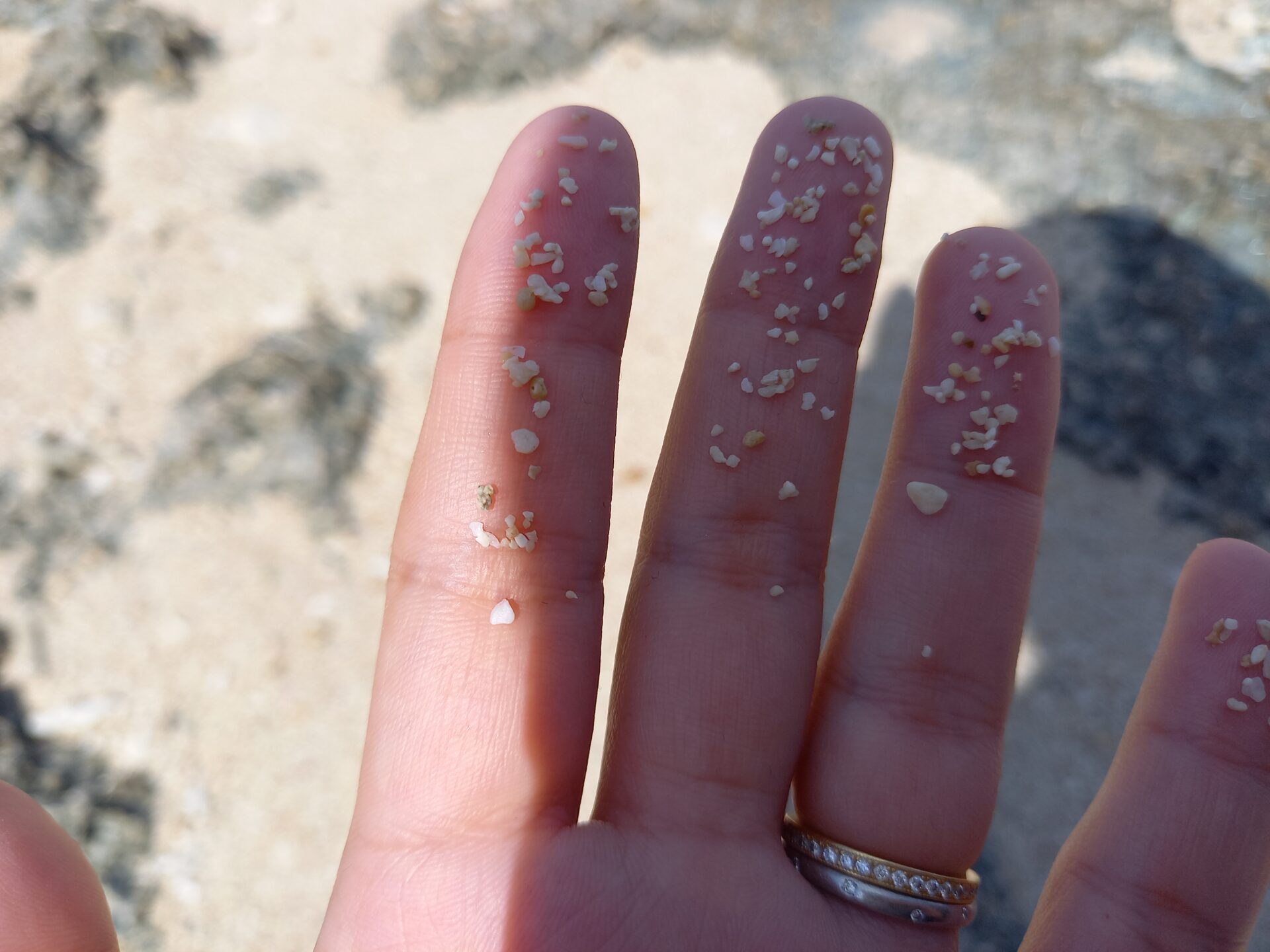 竹富島の星砂は持ち帰りできる?持ち帰れる量や見つけ方、拾える場所などご紹介! | 石垣離島旅行ブログ