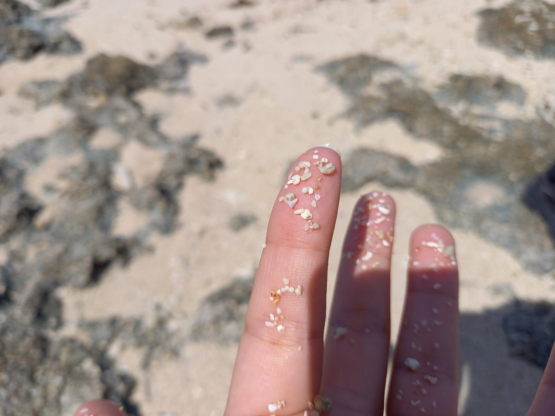 竹富島の星砂は持ち帰りできる?持ち帰れる量や見つけ方、拾える場所などご紹介! | 石垣離島旅行ブログ